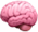 brain